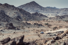 134706480_3635615886523647_1891115645612879596_o